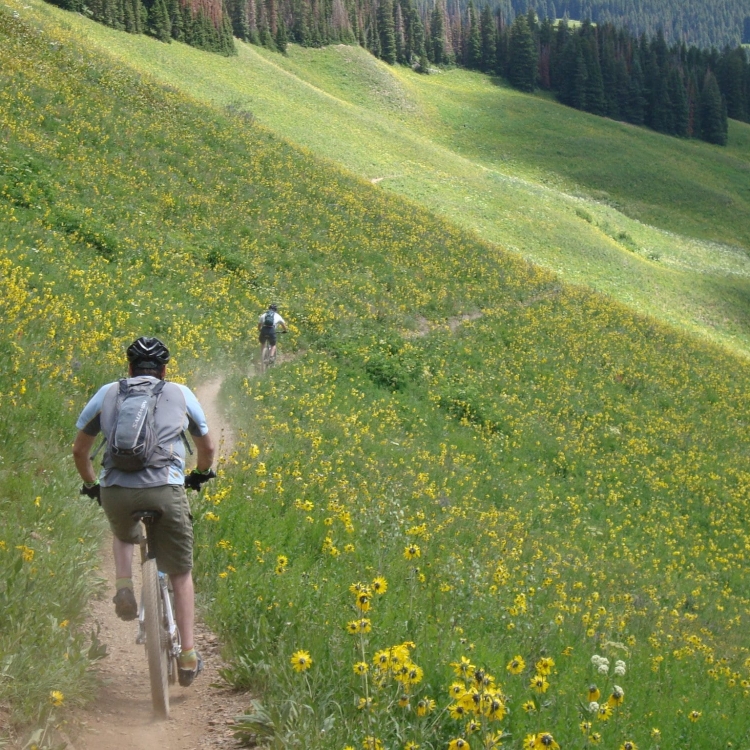 concretepete mountain bike crested butte